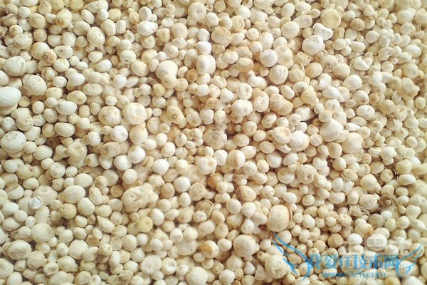 法半夏的功效与作用 法半夏的功效与作用