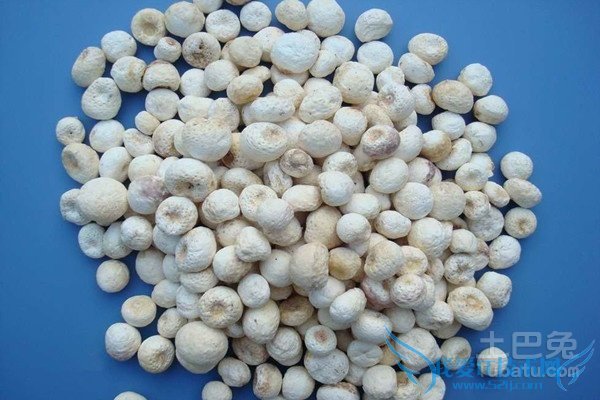 法半夏的功效与作用 法半夏的功效与作用