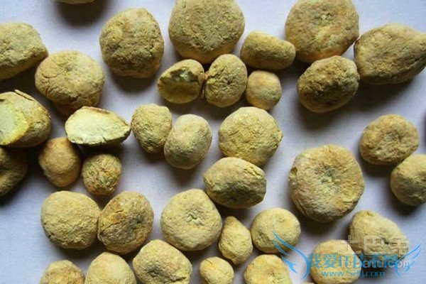 法半夏的功效与作用 法半夏的功效与作用