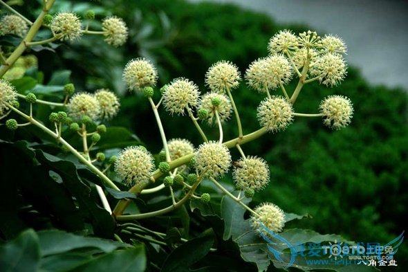 ˽ǽ̷ˮ ú÷ˮҾӱؿ