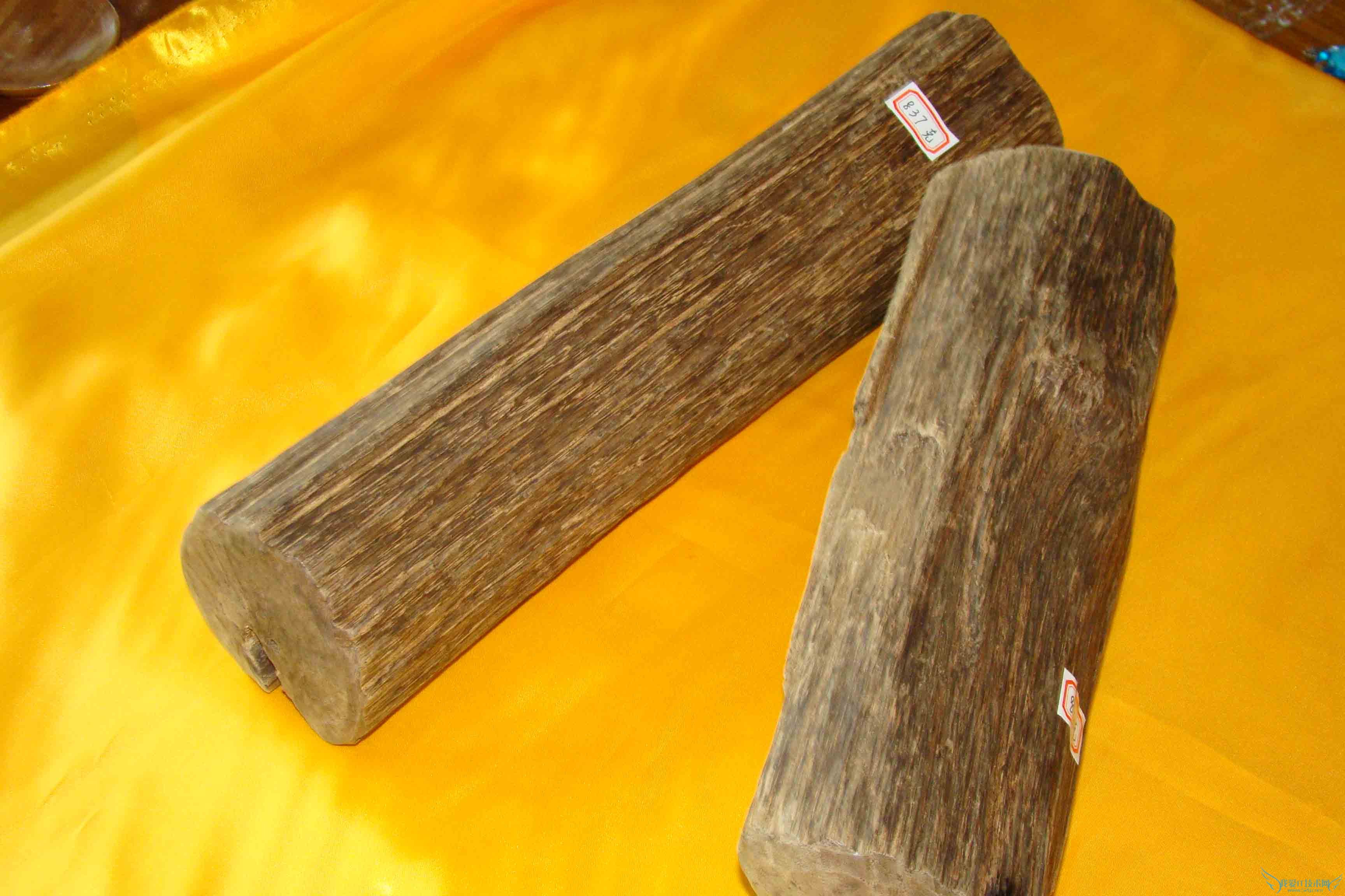 沉香木图片欣赏 沉香木资料介绍