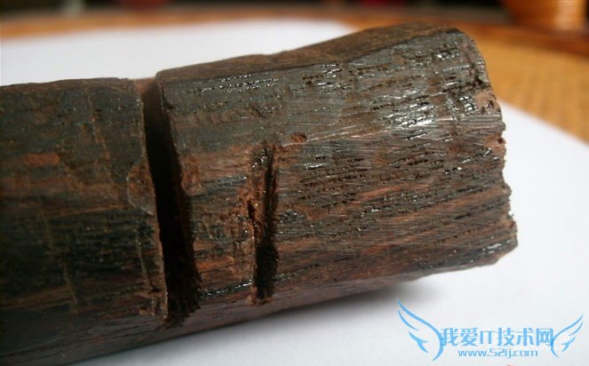 沉香木图片欣赏 沉香木资料介绍