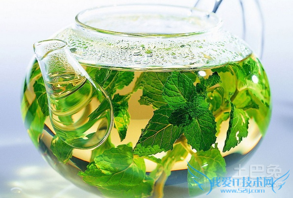 绿茶的好处 绿茶的好处