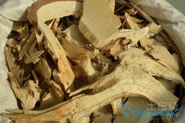 白蔹的功效与作用