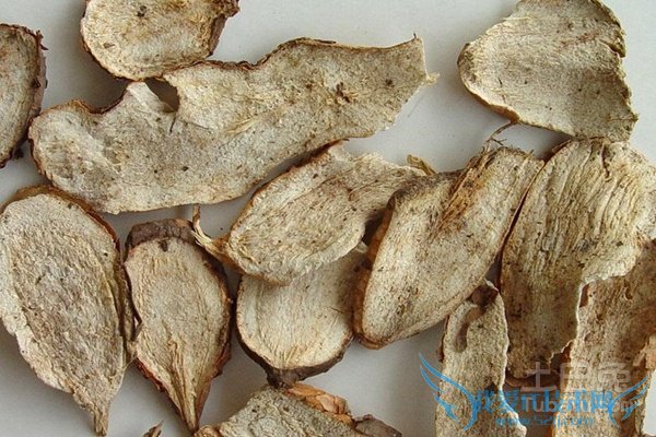 白蔹的功效与作用