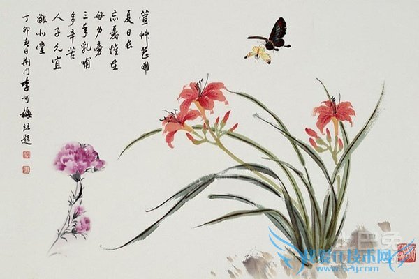 萱草图片 萱草图片