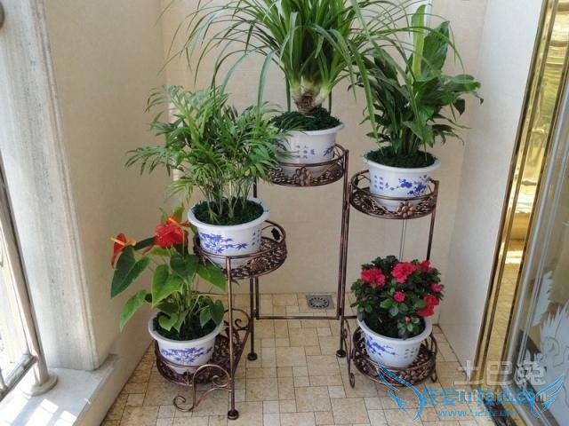 铁艺花架材料 铁艺花架材料