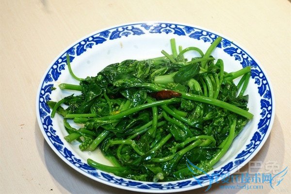 油菜的做法 油菜的做法