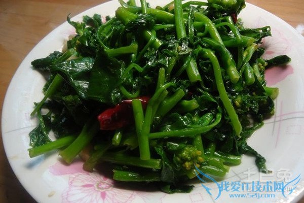 油菜的做法 油菜的做法