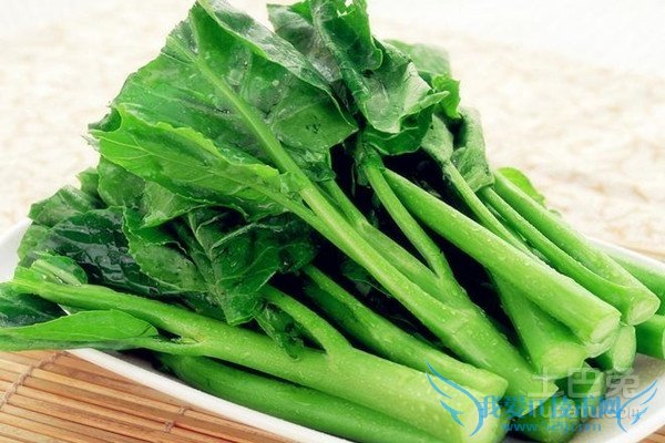 芥蓝种植技术 芥蓝种植技术