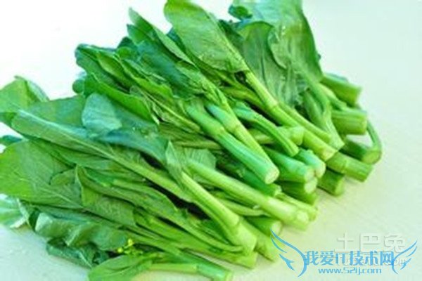 芥蓝种植技术 芥蓝种植技术