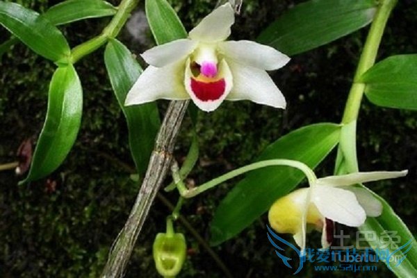 ʲôÊÇʯõú ʲôÊÇʯõú