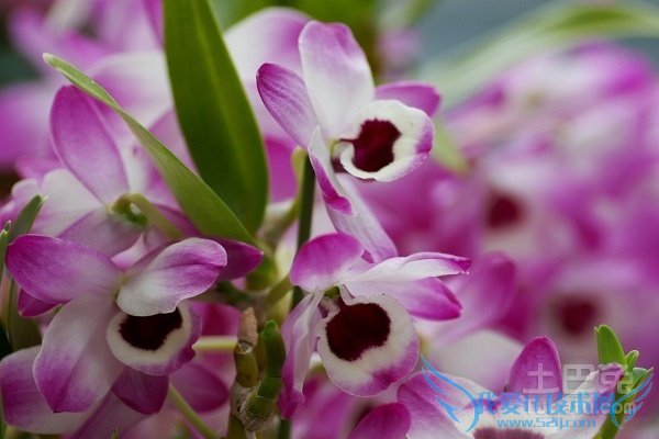 ʲôÊÇʯõú ʲôÊÇʯõú