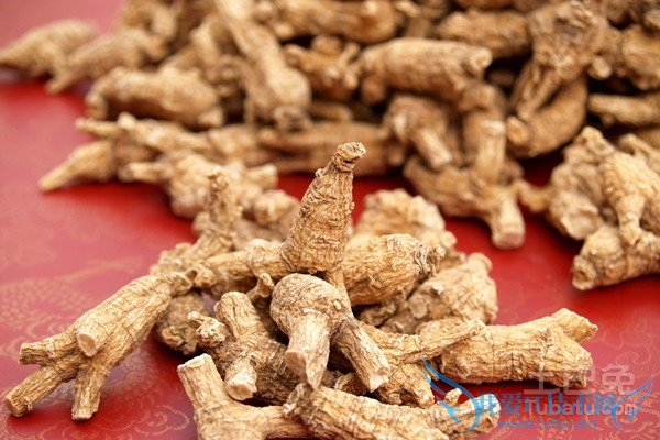 白参和西洋参的区别 白参和西洋参的区别