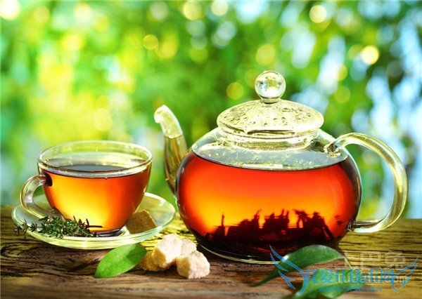 工夫红茶品牌 工夫红茶品牌