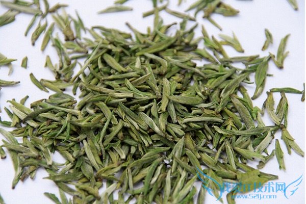 沩山毛尖 沩山毛尖