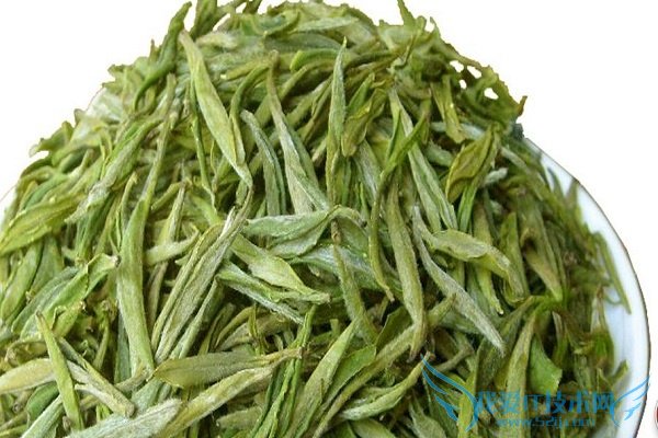 沩山毛尖 沩山毛尖