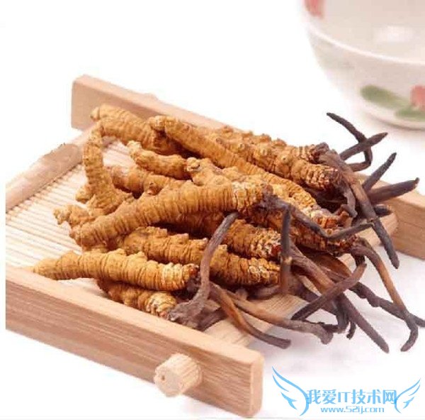 冬虫夏草是什么 冬虫夏草是什么