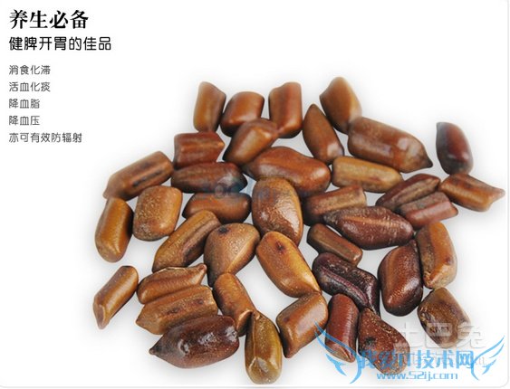 决明子茶 决明子茶