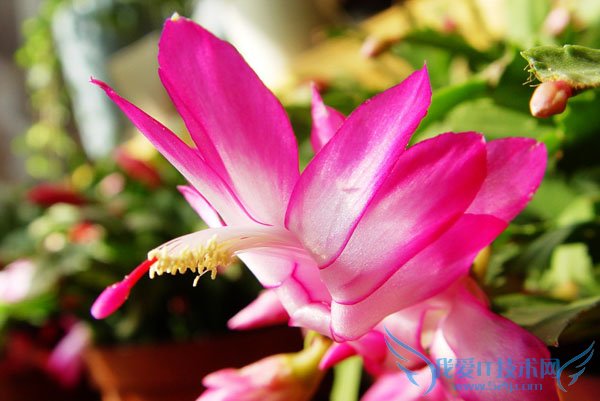 зצͼƬȫ зצͼƬͼϽ