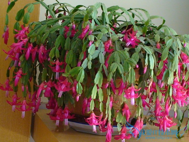 зצͼƬȫ зצͼƬͼϽ