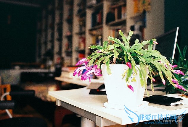 зצͼƬȫ зצͼƬͼϽ