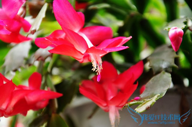 зצͼƬȫ зצͼƬͼϽ