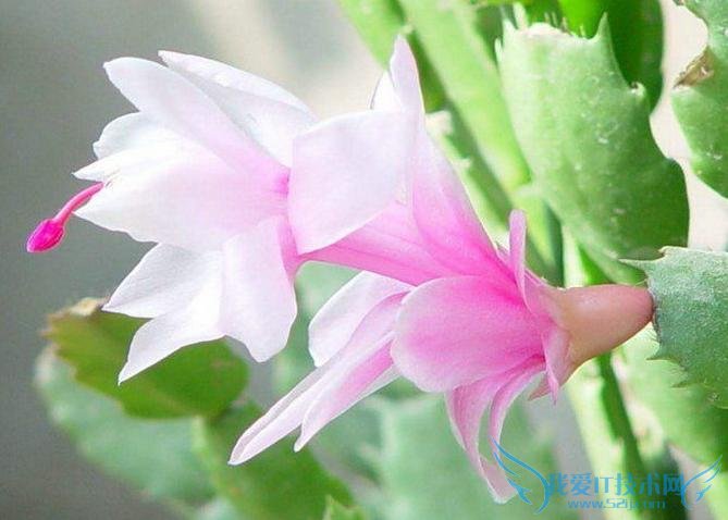 зצͼƬȫ зצͼƬͼϽ