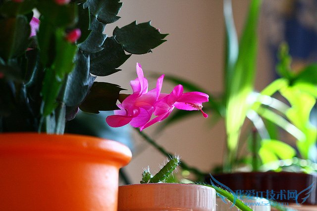 зצͼƬȫ зצͼƬͼϽ