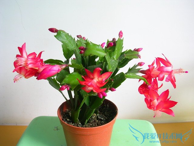 зצͼƬȫ зצͼƬͼϽ