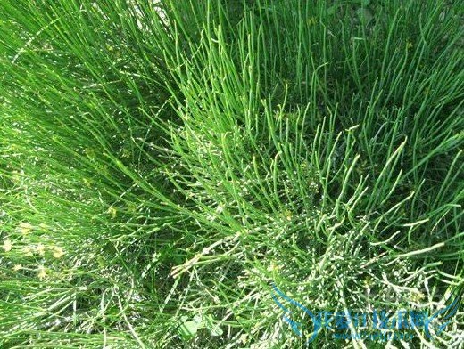 Â黯²Ý¼Û¸ñ Â黯²Ý¼Û¸ñ