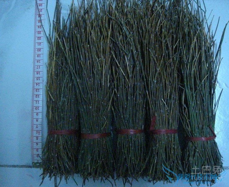 Â黯²Ý¼Û¸ñ Â黯²Ý¼Û¸ñ