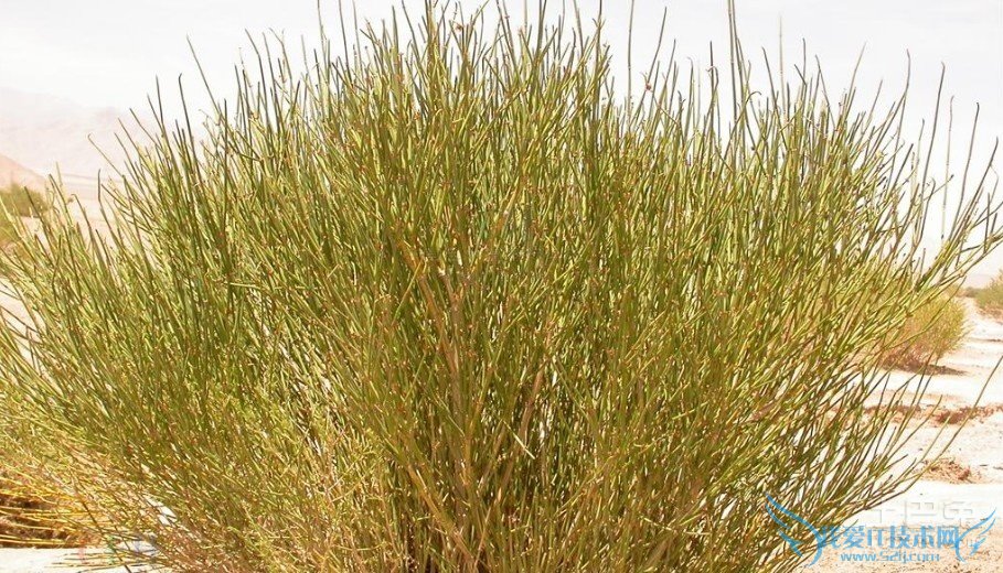 Â黯²Ý¼Û¸ñ Â黯²Ý¼Û¸ñ