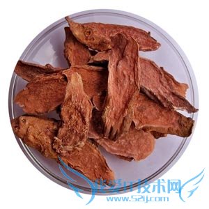 쾰ĳԷȫ 쾰ĳԷƼע