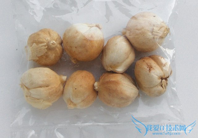 豆蔻的功效与作用及禁忌