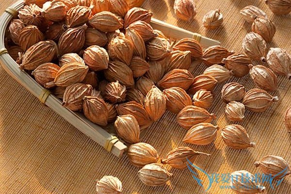 ɰÈʵĹ¦Ð§Óë×÷Óü°Ê³Ó÷½·¨