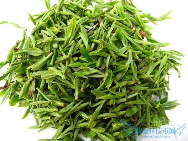 信阳毛尖属于什么茶 信阳毛尖属于什么茶