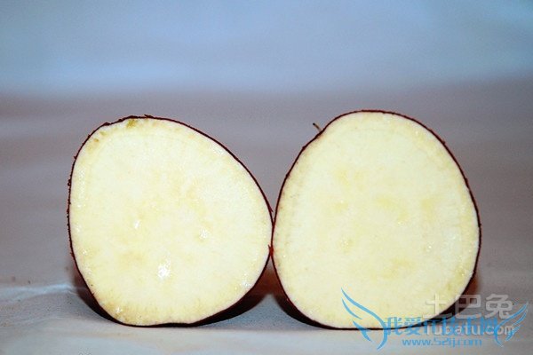 白薯的功效与作用