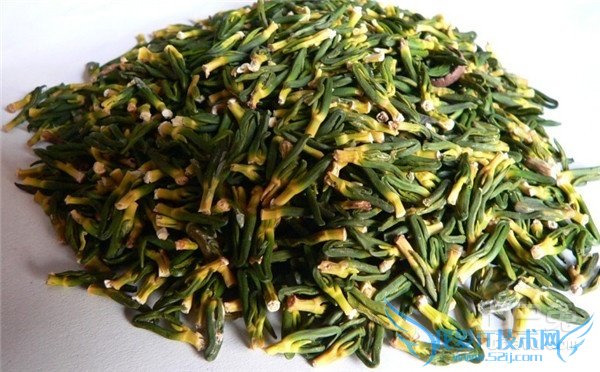 莲心的作用 莲心的作用