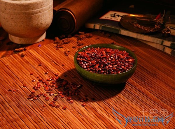 酸枣仁图片 酸枣仁图片