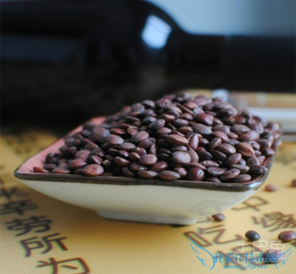 酸枣仁图片 酸枣仁图片