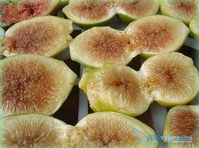 无花果的功效与作用 无花果食谱