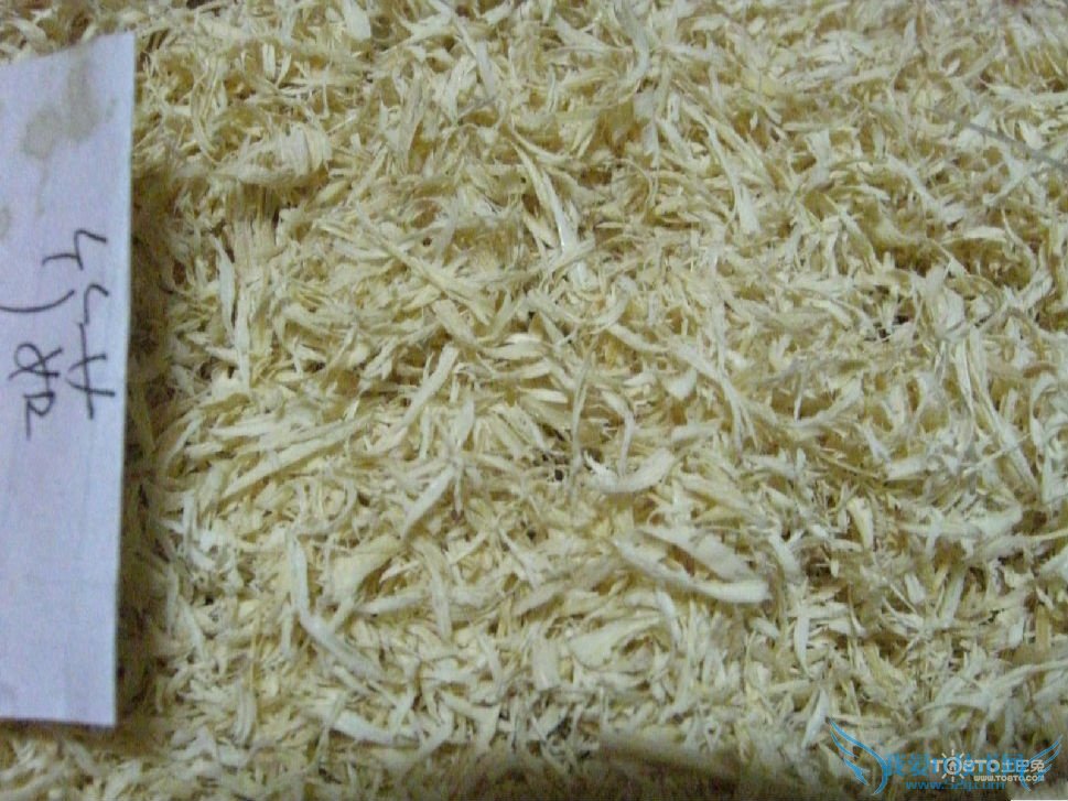 竹茹的功效与作用及食用方法和禁忌