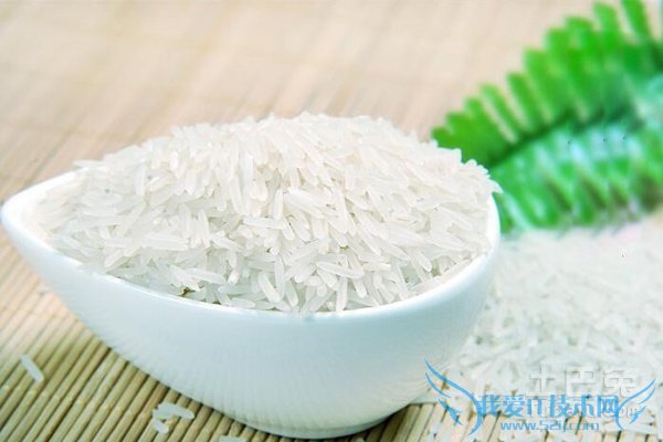 籼米是什么米