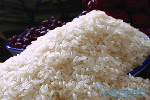 籼米是什么米