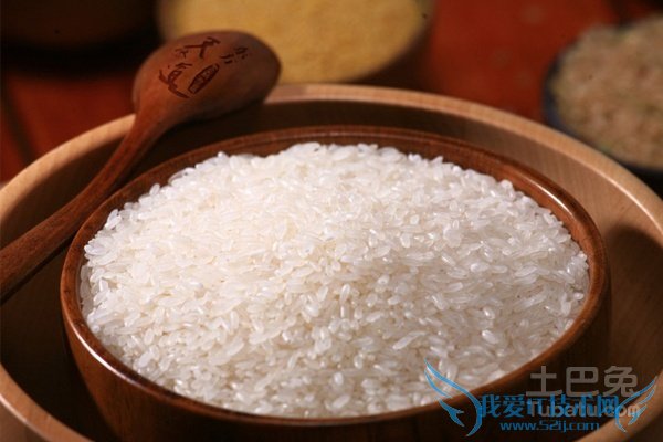 籼米是什么米