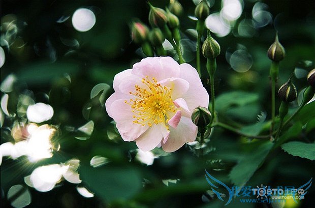 ǾޱͼƬȫ Ǿޱʲôʱ