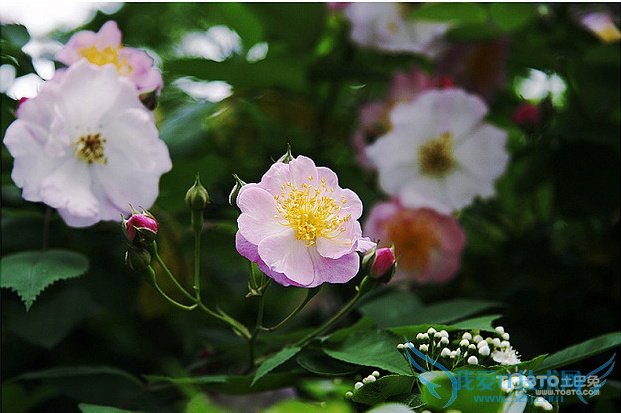 ǾޱͼƬȫ Ǿޱʲôʱ