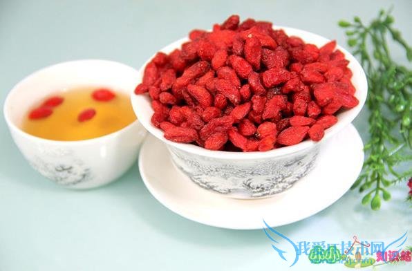 枸杞子泡茶喝可以补肾吗 枸杞子泡茶喝可以补肾吗