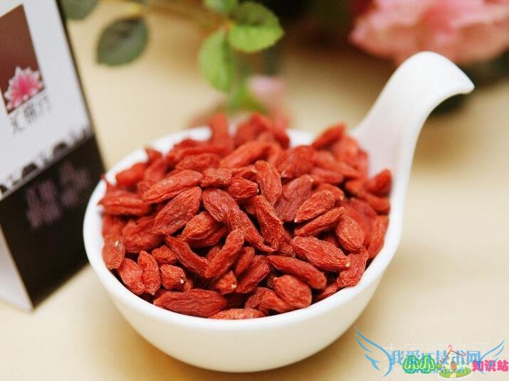 枸杞子泡茶喝可以补肾吗 枸杞子泡茶喝可以补肾吗